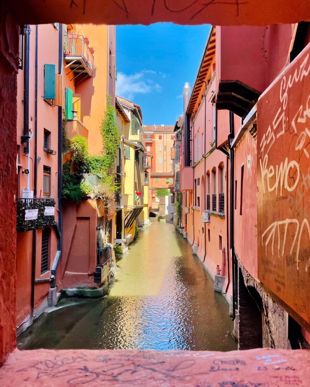 Fenster auf, Bologna rein.