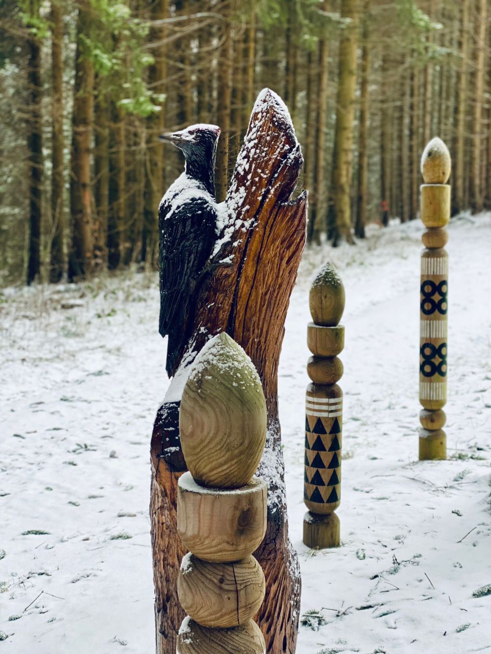 Winterwanderung 2024