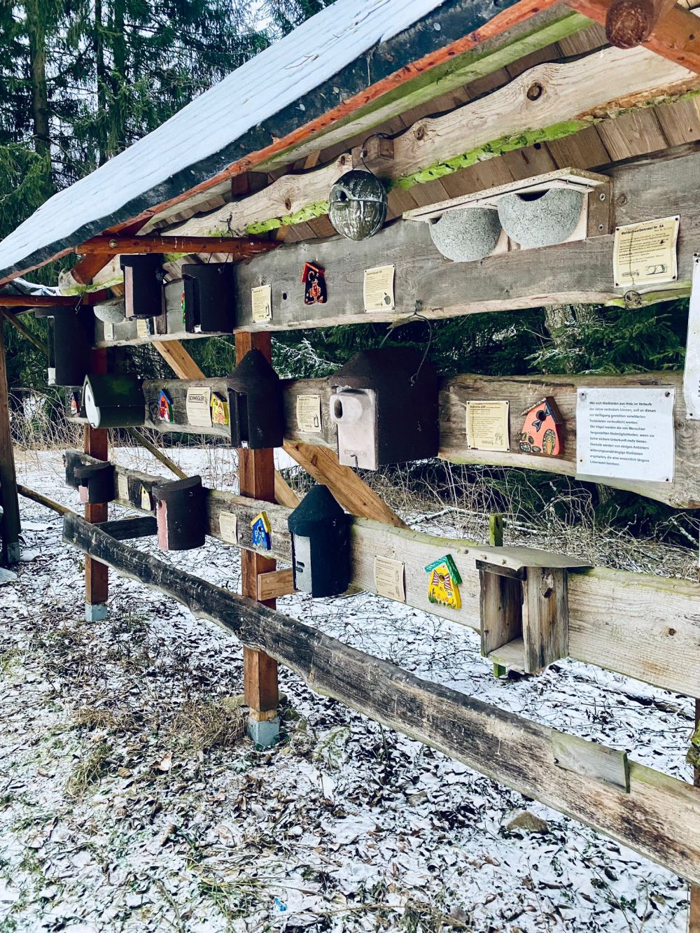 Winterwanderung 2024