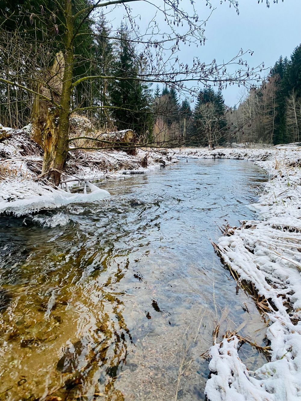 Winterwanderung 2024