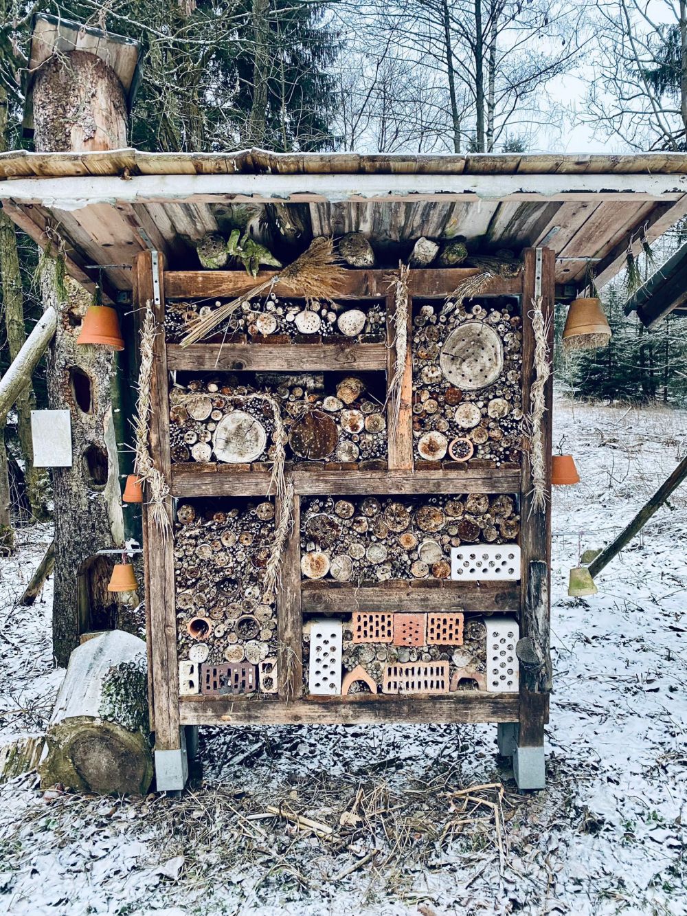 Winterwanderung 2024